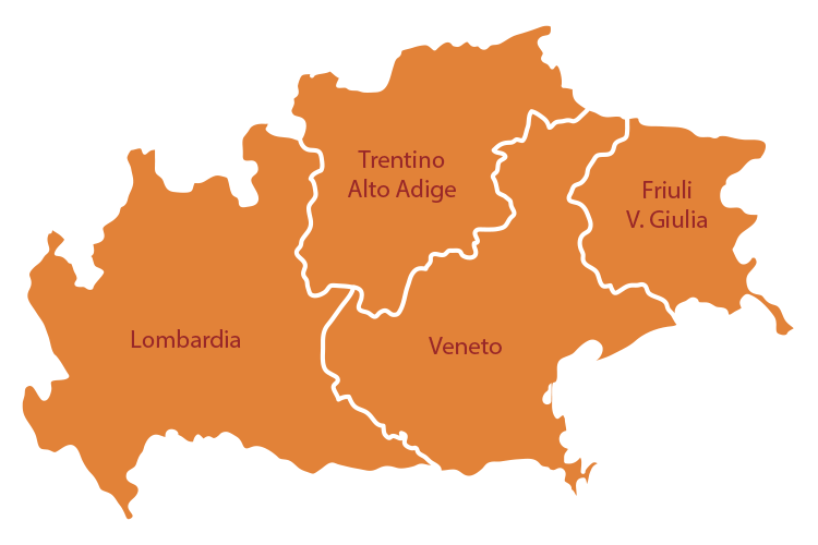 mappa regioni partner sgf